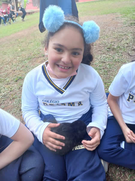 Bicho Mania 2022